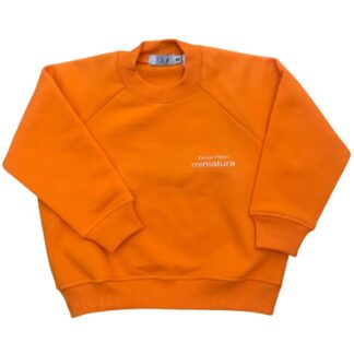 Blusão de Moletom Escola Miniatura