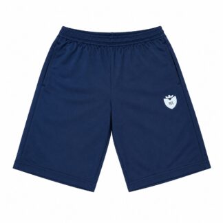 Bermuda Dry Fit Cinza Ens. Médio Santo Américo